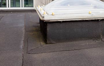disadvantages of Salkeld Dykes flat roofs