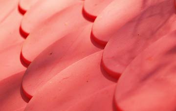 Salkeld Dykes plastic roof costs