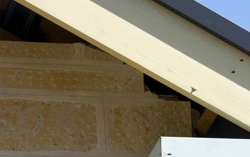 soffit repair Salkeld Dykes